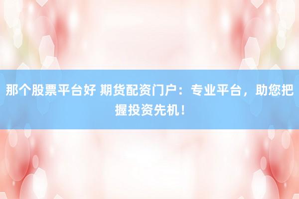 那个股票平台好 期货配资门户：专业平台，助您把握投资先机！