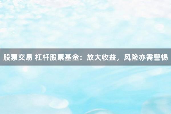 股票交易 杠杆股票基金：放大收益，风险亦需警惕
