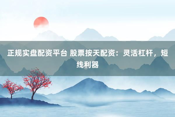 正规实盘配资平台 股票按天配资：灵活杠杆，短线利器