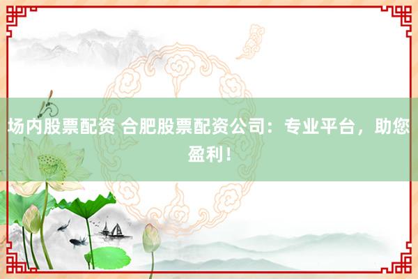 场内股票配资 合肥股票配资公司：专业平台，助您盈利！
