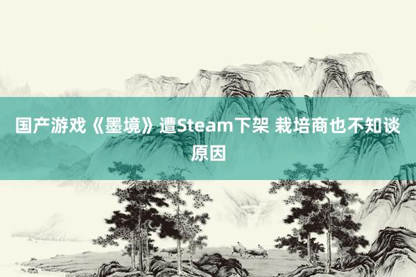 国产游戏《墨境》遭Steam下架 栽培商也不知谈原因