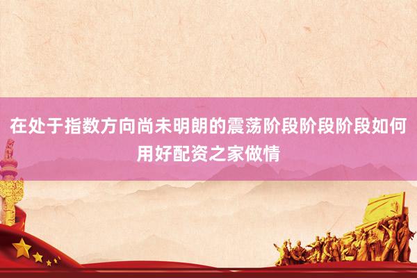 在处于指数方向尚未明朗的震荡阶段阶段阶段如何用好配资之家做情