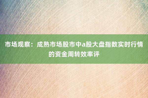 市场观察：成熟市场股市中a股大盘指数实时行情的资金周转效率评