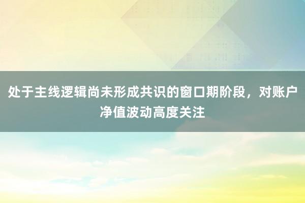 处于主线逻辑尚未形成共识的窗口期阶段，对账户净值波动高度关注